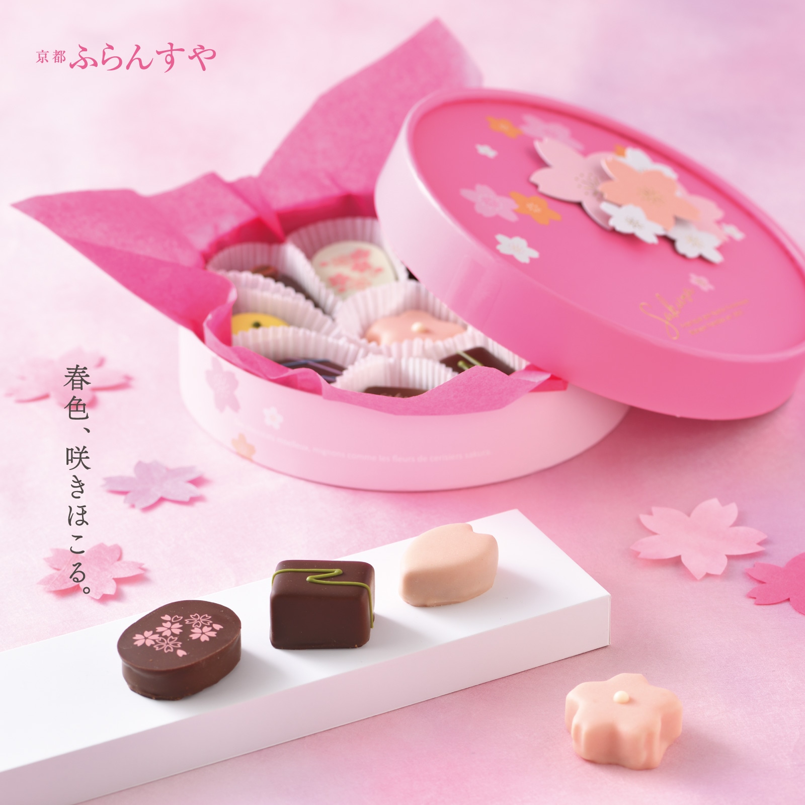 あ*ぺ様 新春価格　ミナペルホネン＊スクエアボストン＊rosy ピンク＋chou 2026年 チョコレートコレクション 情報公開のお知らせ