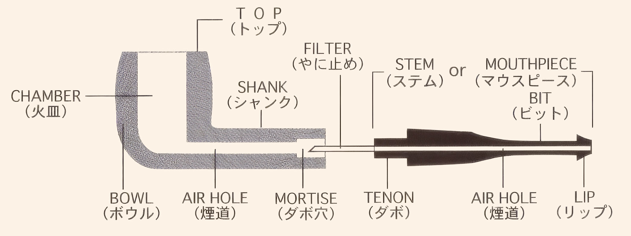 パイプの構造と名称