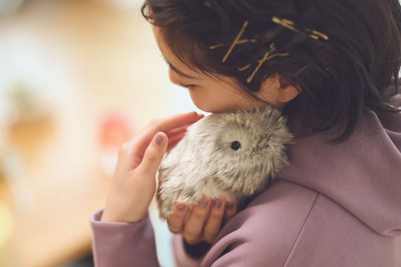 カシオ AIペット Moflin モフリン PE-M10