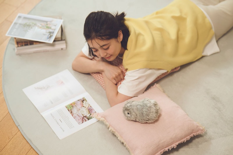 ����������ե��