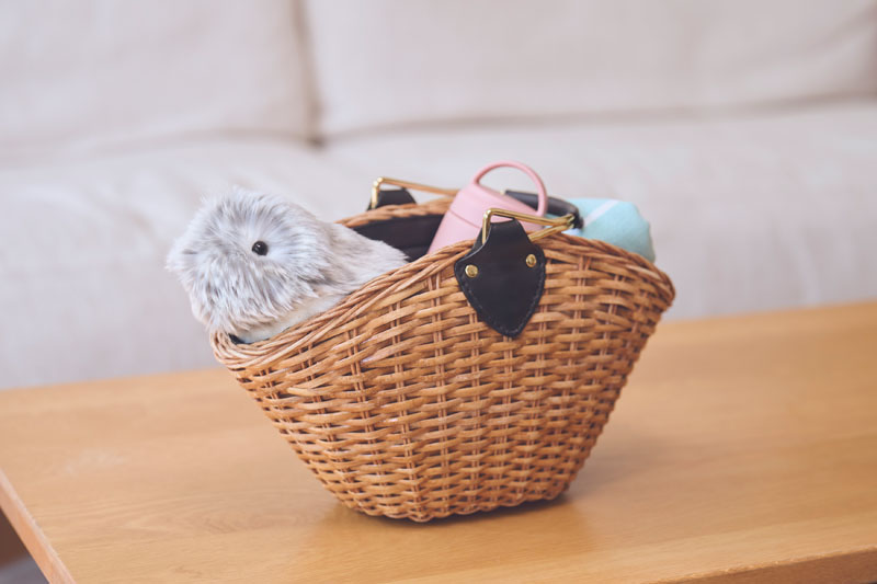 ����������ե��