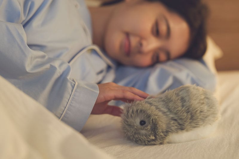 カシオ AIペット Moflin モフリン PE-M10