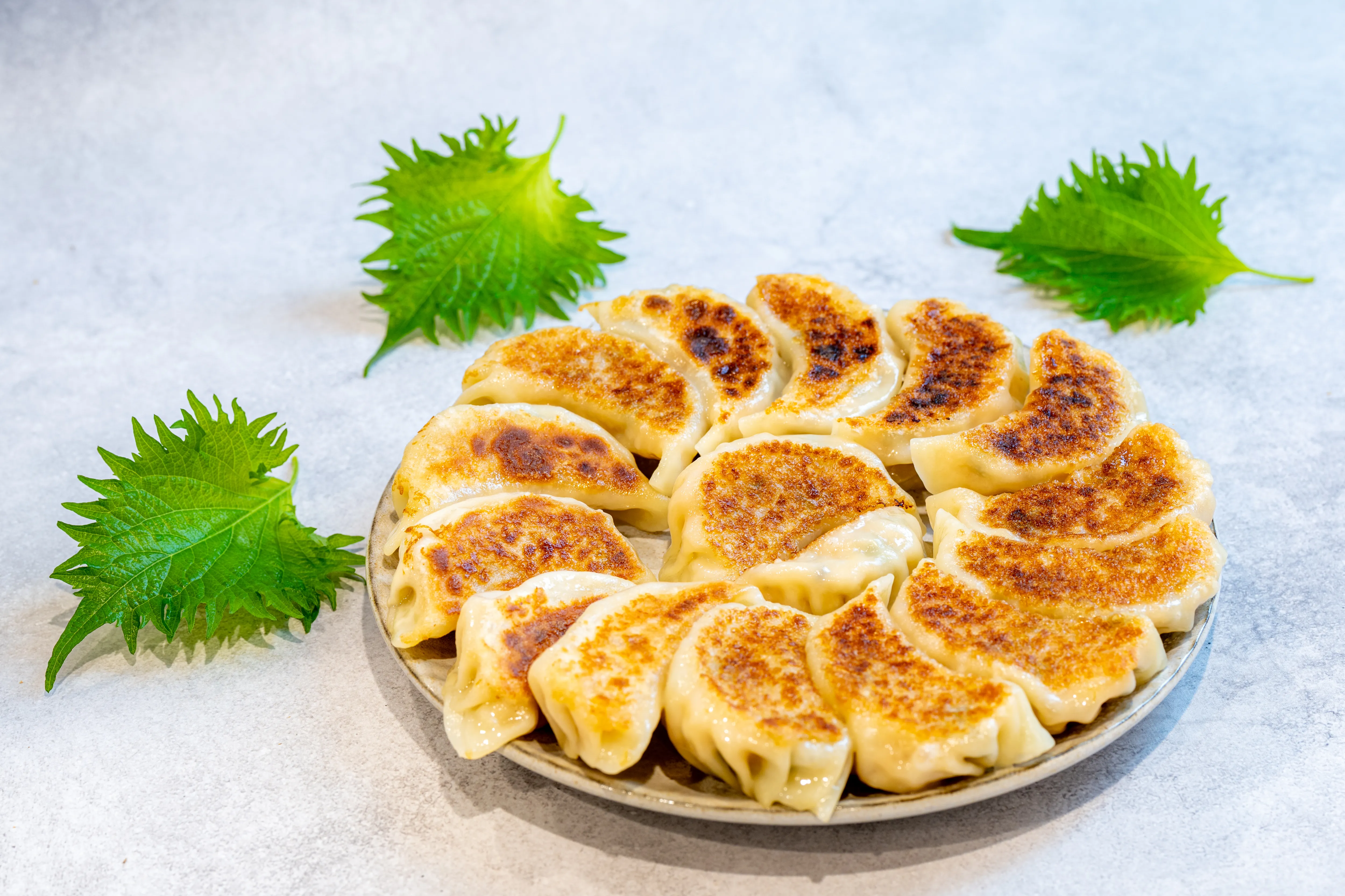 手包み大葉餃子