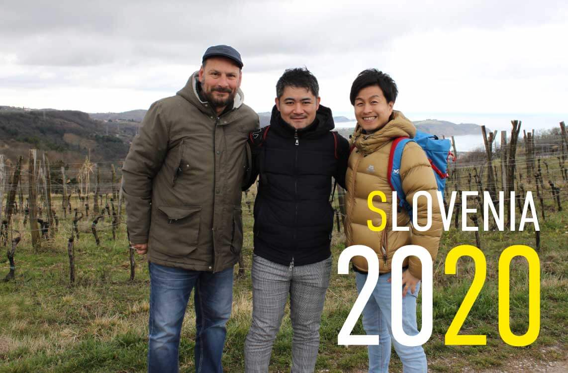 slovenia 2020