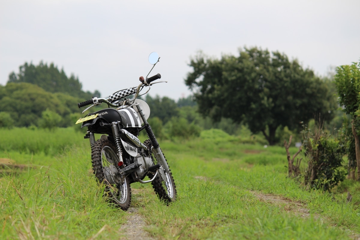 ホンダCD50VMXカスタムで野原を散策