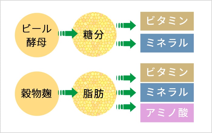 生きた酵母が分解をサポート