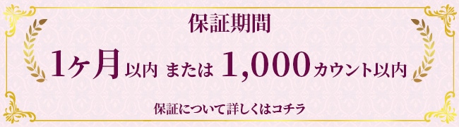1����ޤ���1,000��������ݾڥХʡ�