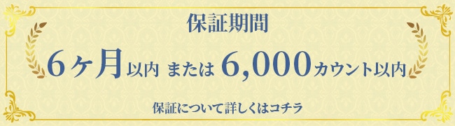 6����ޤ���6,000��������ݾڥХʡ�