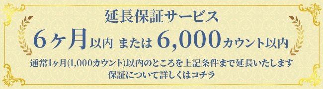 6����ޤ���6,000��������ݾڥХʡ�