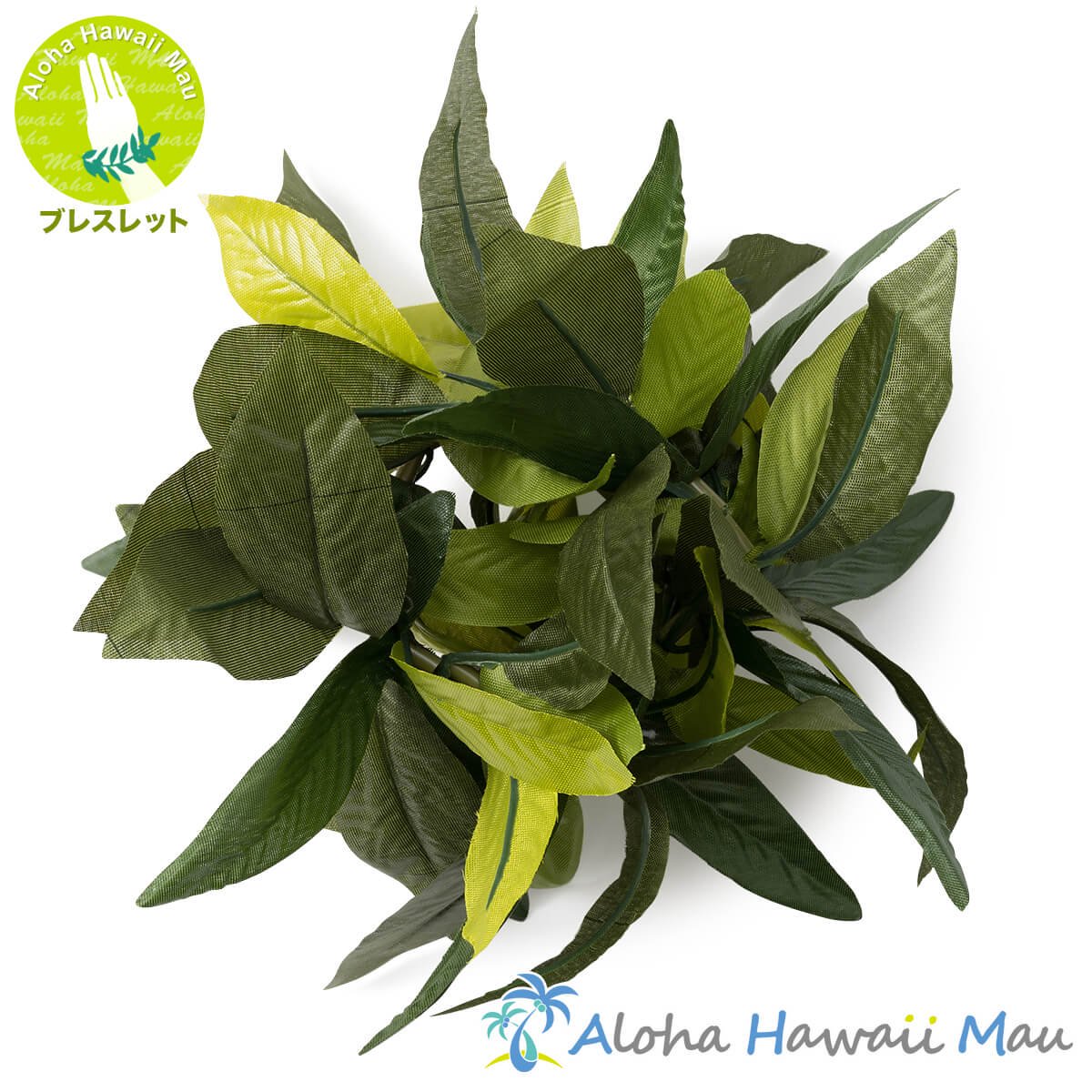 マイレ レイ キングマイレ オープンレイ フラ レイ ニューキングマイレ