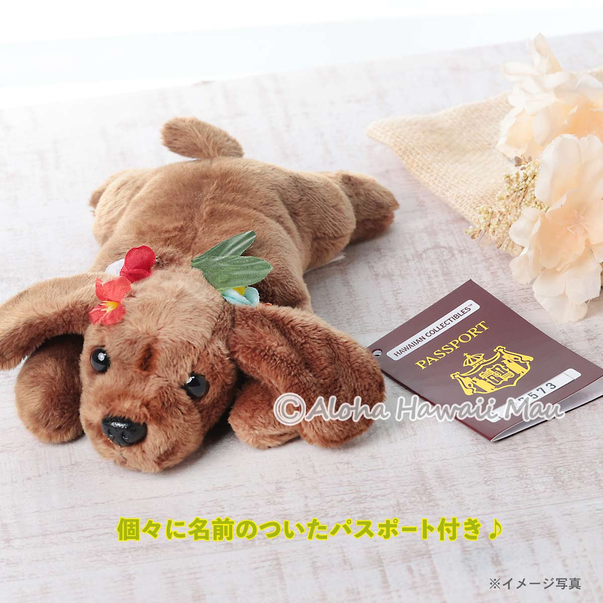 ハワイアン ぬいぐるみ 犬のぬいぐるみ イヌ ポイ ドッグ the Poi Dog