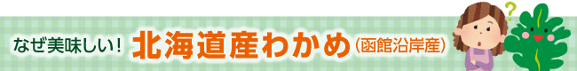 なぜ美味しい！ 北海道産わかめ（函館沿岸産）