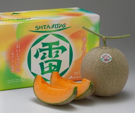 メロン HOKUREN GREEN +PLUS | ホクレングリーンプラス 夏の味覚。北海道