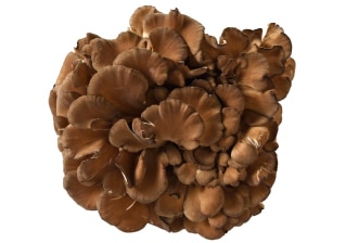 JA上川中央 きのこもりもりセット | HOKUREN GREEN +PLUS | ホクレン