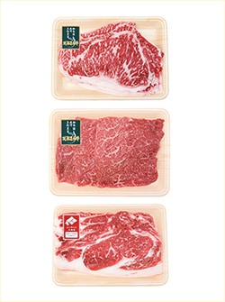 HOKUREN GREEN +PLUS | ホクレングリーンプラス 第2弾食べて応援！北海道産牛肉 北海道から旬の味覚を直送