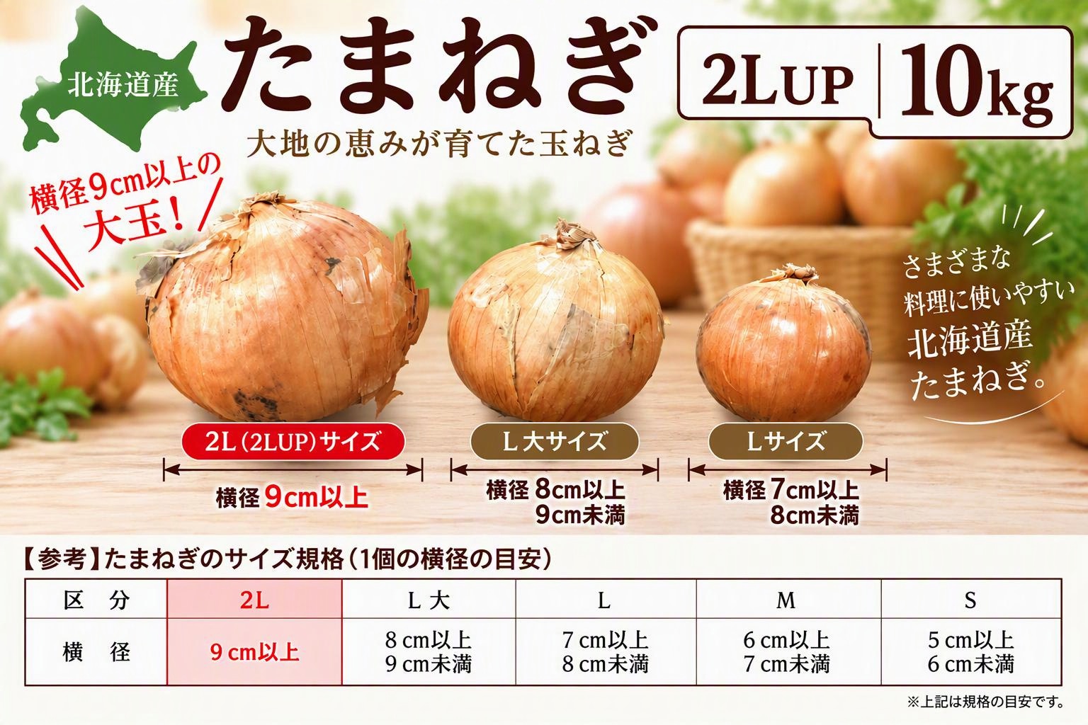 MEGAサイズ 北海道産玉ねぎ 2L以上約10kg《10月中旬～発送開始