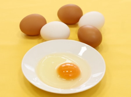 HOKUREN GREEN +PLUS | ホクレングリーンプラス 四角い頭が丸くなる