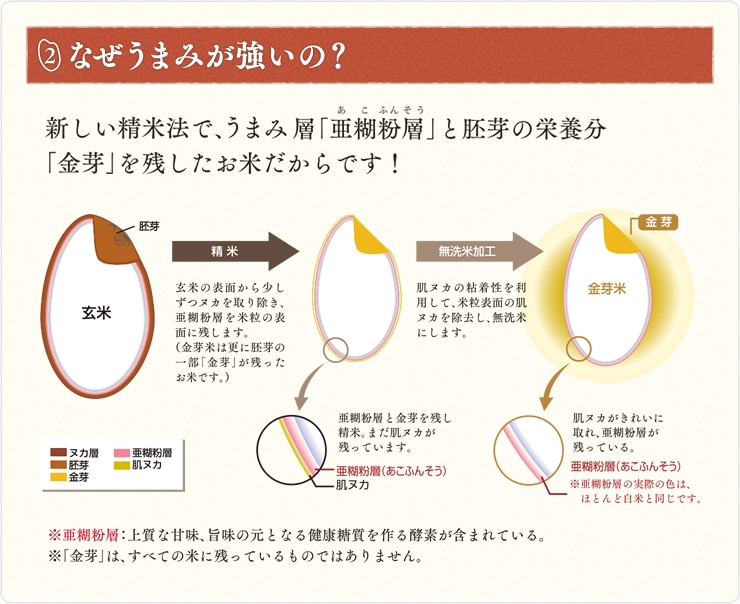 令和5年産 北海道産金芽米ななつぼし5kg×2袋 無洗米 | HOKUREN GREEN +