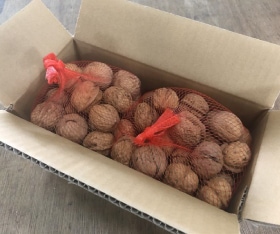 美唄産くるみ 約1kg（約500g×2） | HOKUREN GREEN +PLUS | ホクレン