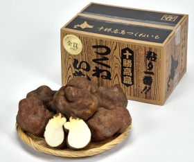 JA十勝池田町 つくねいも3㎏ | HOKUREN GREEN +PLUS | ホクレン