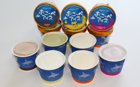 JA北オホーツク おこっぺアイス12個セット | HOKUREN GREEN +PLUS