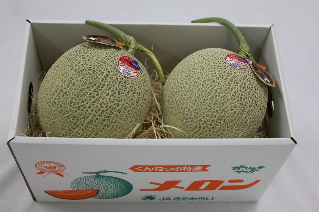 HOKUREN GREEN +PLUS | ホクレングリーンプラス 北海道メロン特集2022