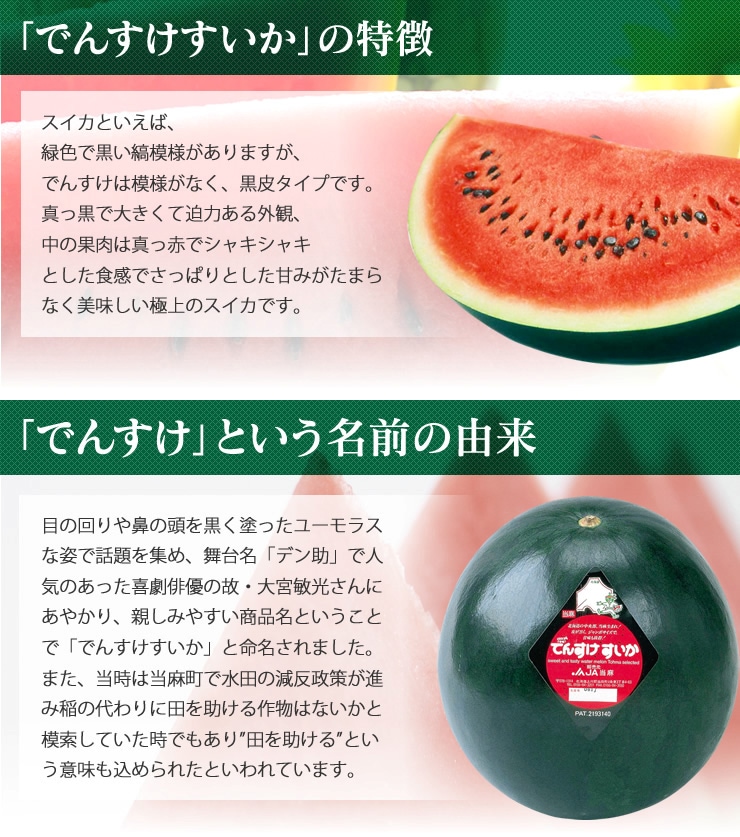 数量限定】JA当麻 でんすけすいか 秀品L約6㎏ 《7月上旬～発送開始