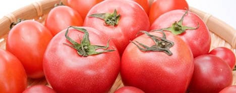 JA伊達市 トマトの果実 (有塩トマトジュース) 160g×30缶 | HOKUREN