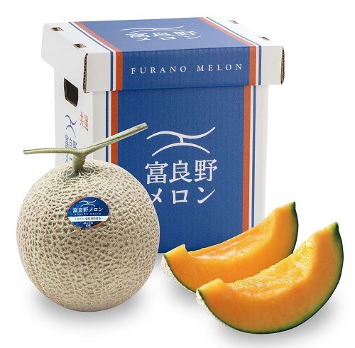 JAふらの 富良野メロン秀品 約2㎏×1玉 《7月上旬～発送開始