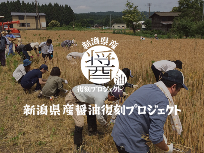 生姜醤油ラーメン チャーシュー・メンマ付き8食セット | その他 | 越後良寛しょうゆオンラインショップ