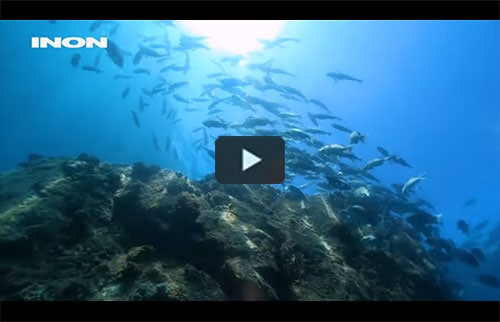 【GoProHERO7水中映像】串本の海