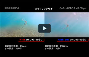 【GoProHERO9】水中専用レンズ「UFL-G140SD」比較動画〜深海魚ユキフリソデウオの幼魚〜