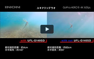 【GoProHERO9】水中専用レンズ「UFL-G140SD」比較動画〜深海魚ユキフリソデウオの幼魚〜