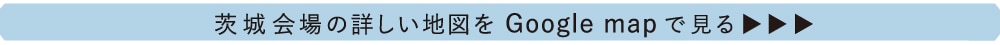 ���٥ꥢ����롡Ÿ����