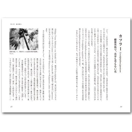 読む 植物図鑑 No 5 アイテムから探す 書籍 Dvd 書籍 Dvd Tree Climbing World