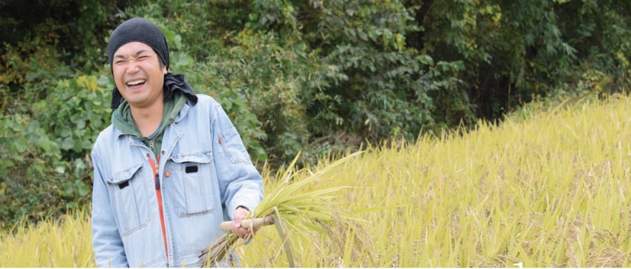 Hirayama Rice Farming