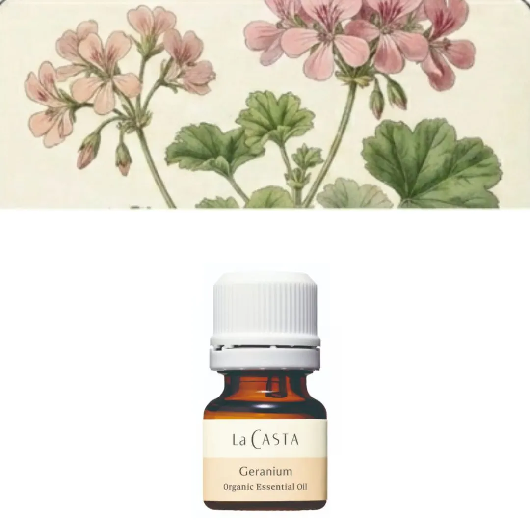 ゼラニウム