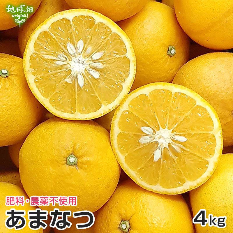甘夏４０キロ　専用 受付延長！／3月お届け】甘夏 10kg（L玉／30玉前後）: JAあしきた