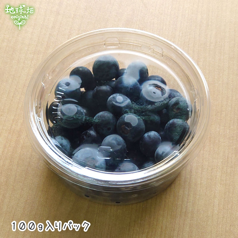 ֥롼٥꡼/BlueBerry