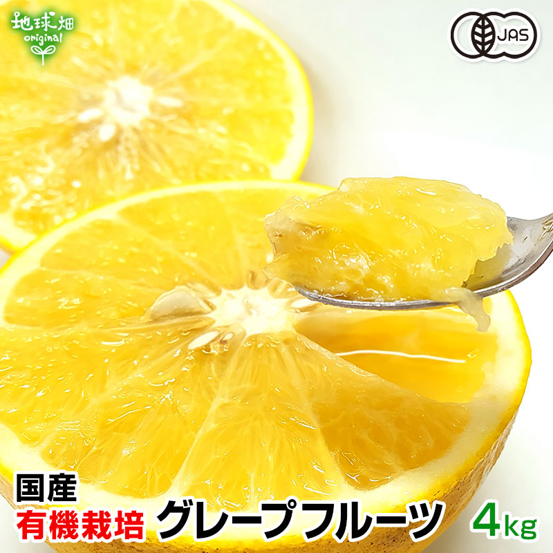 ���졼�ץե롼��