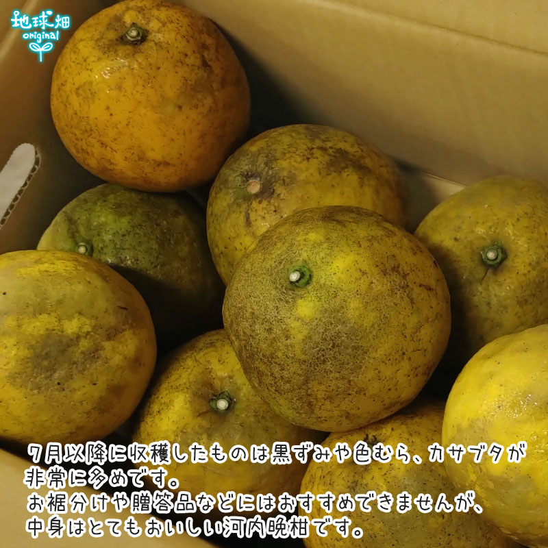 �����մ�