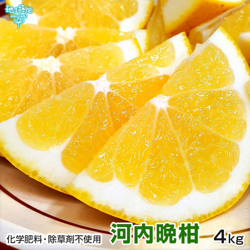 �����մ�