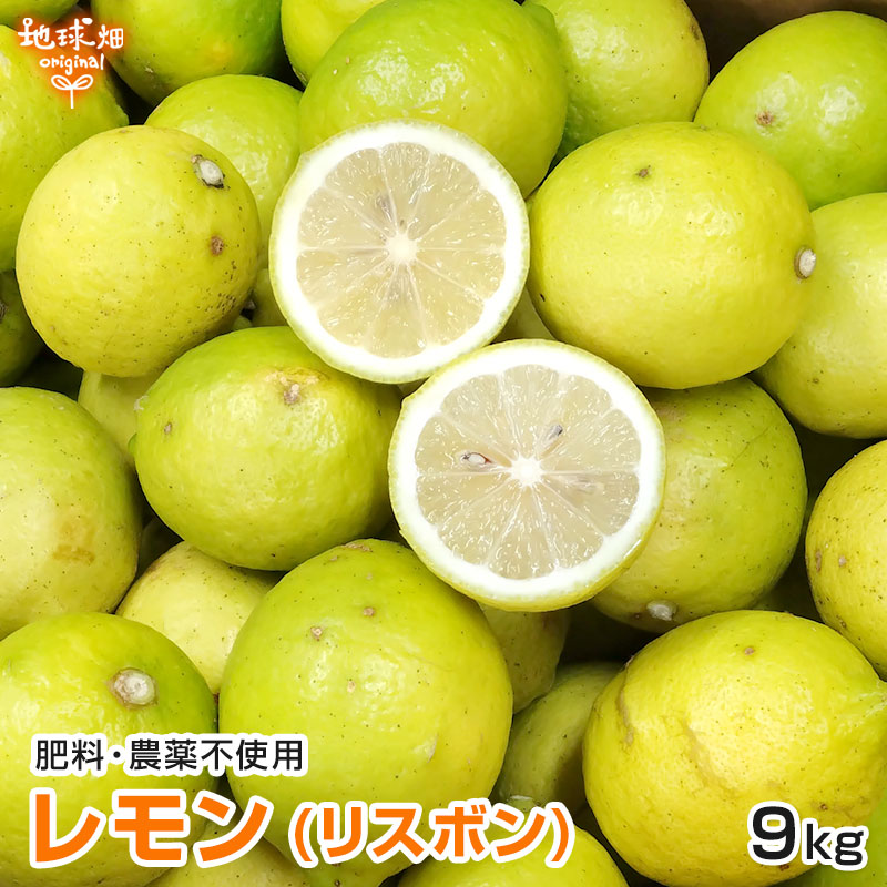 �ꥹ�ܥ����