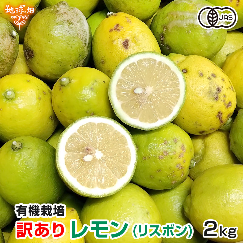 �ꥹ�ܥ����