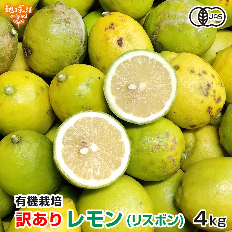 �ꥹ�ܥ����