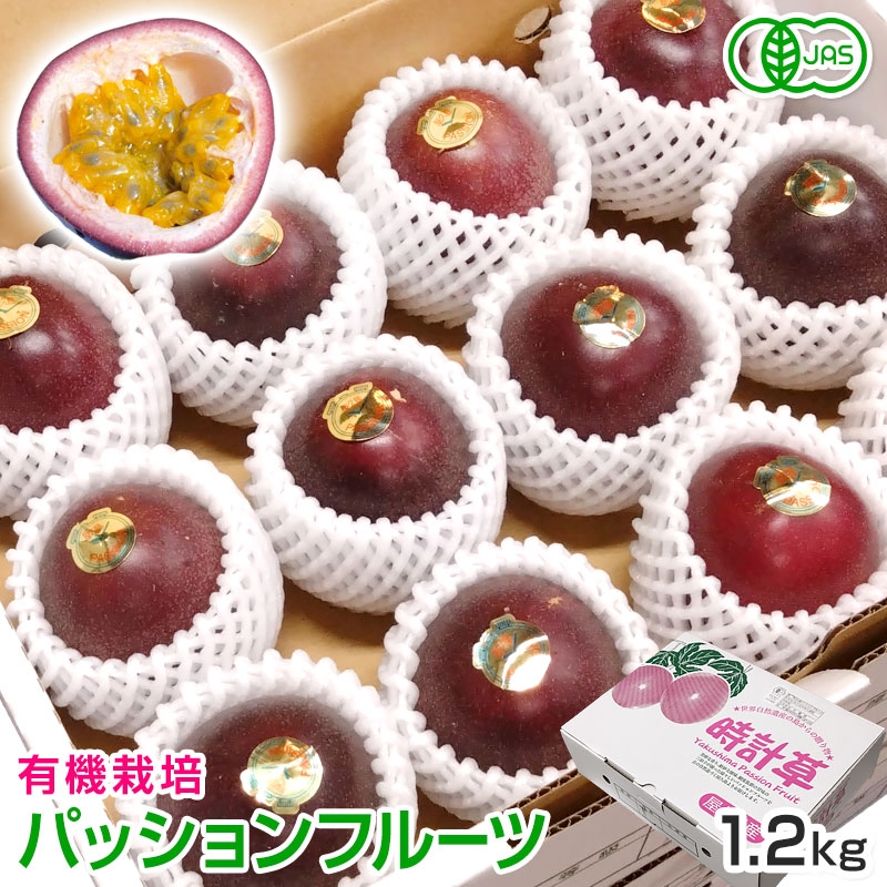 パッションフルーツ ９キロ超 予約特価】No.9-1 有機パッションフルーツ 2.4kg 7月下旬～8月中旬発送