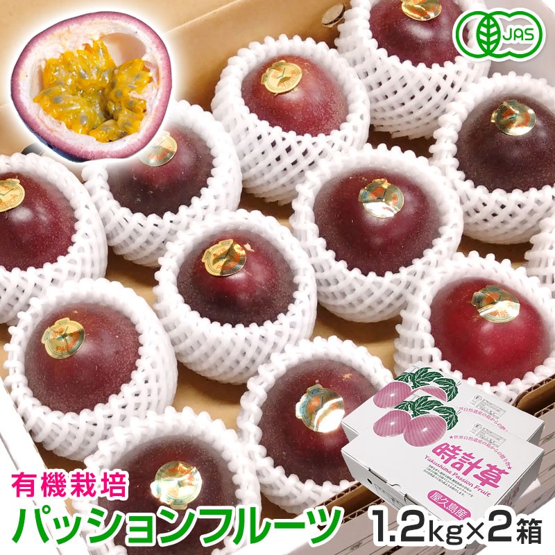 No.9-1 有機パッションフルーツ 2.4kg 7月下旬～8月中旬発送【数量限定