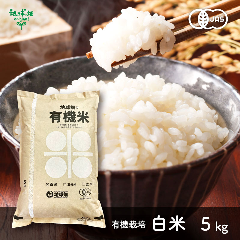 ���ʲ���1����