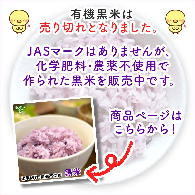 屋久島産の古代米・黒米2kg 農薬や化学肥料無使用/屋久島のお水の力 2026年1月発送 有機のお米(黒米) 300g | 米・雑穀米・豆,古代米