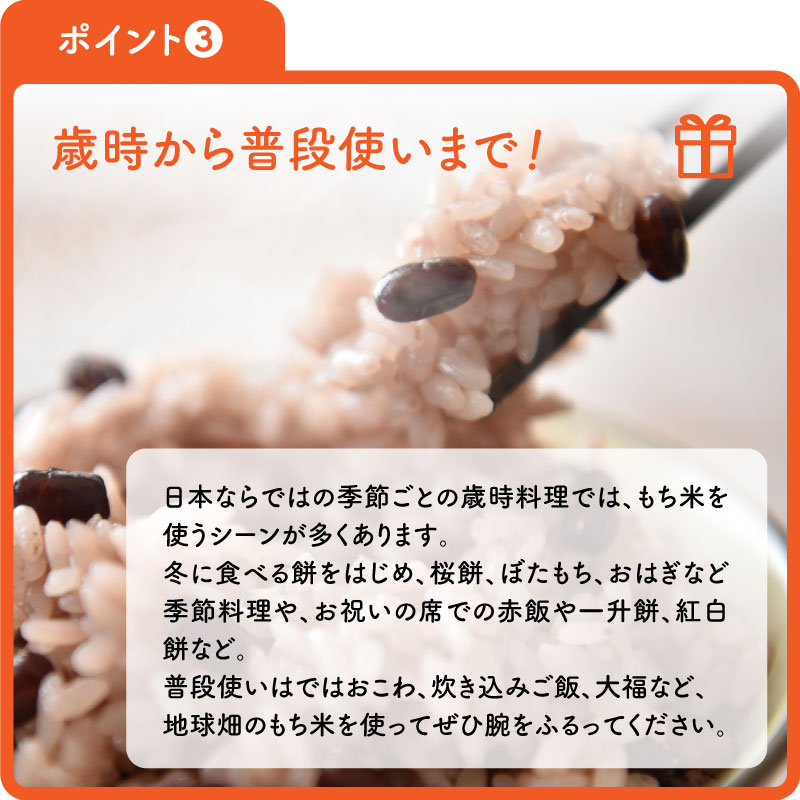 10/30発送 もち米(白米) 1kg 餅米 もち精米 精米 | 米・雑穀米